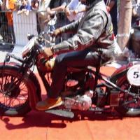 gallery_7b1fe49b003f79df1931526aff3983af.jpg
